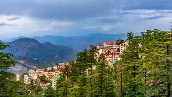 India Travel Guide